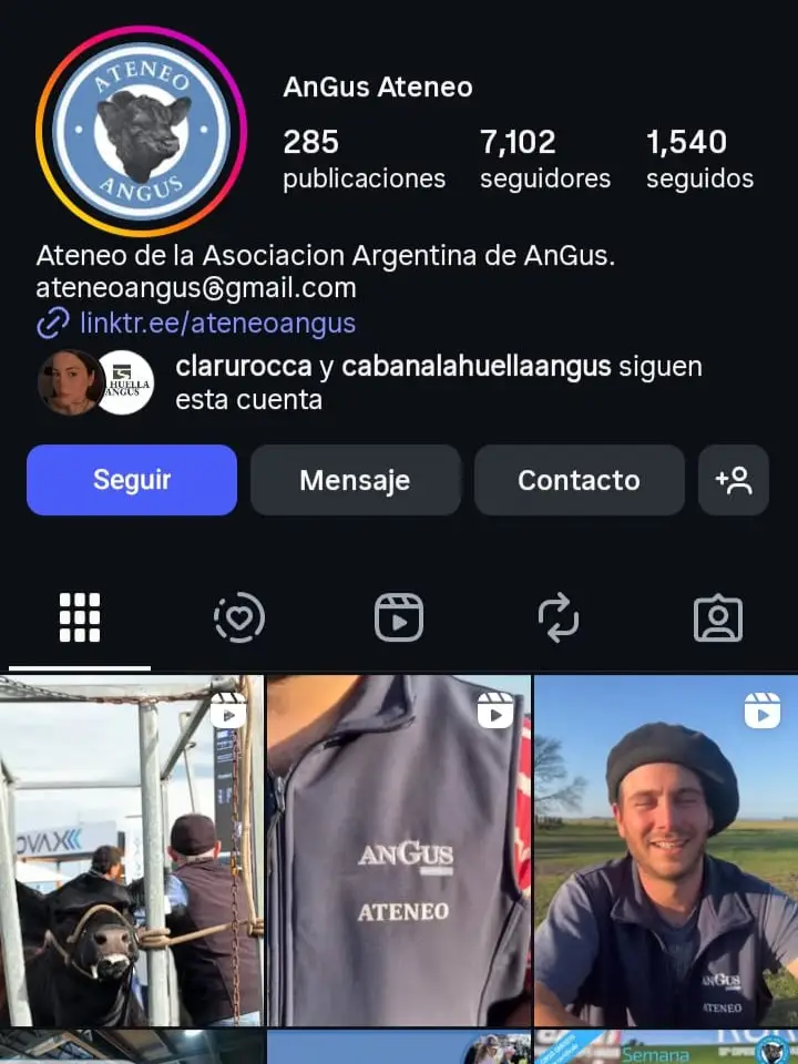 Cuenta Instagram